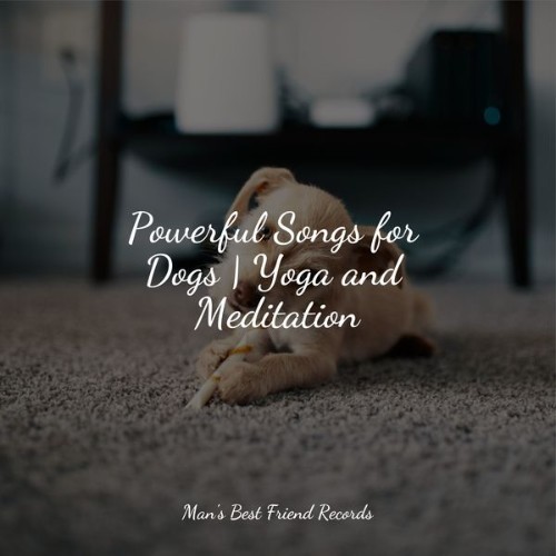 Music for Dog's Ear - Powerful Songs for Dogs  Yoga and Meditation - 2022