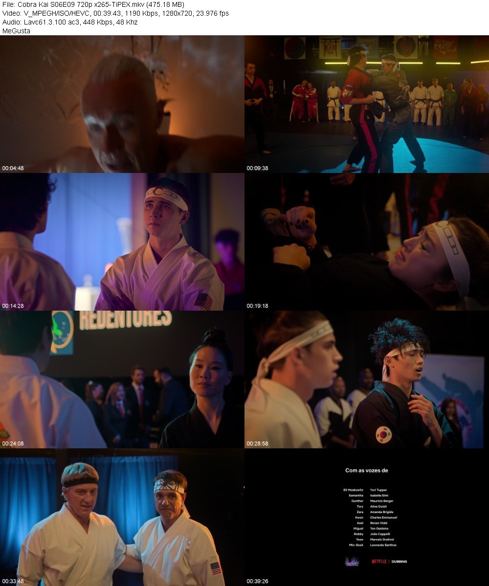 Cobra Kai S06E09 720p x265-TiPEX