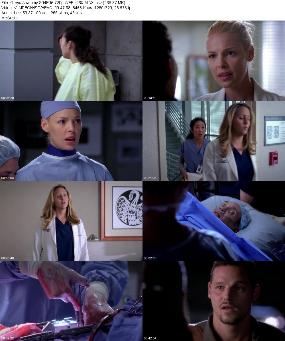 Greys Anatomy S04E06 720p WEB x265-MiNX