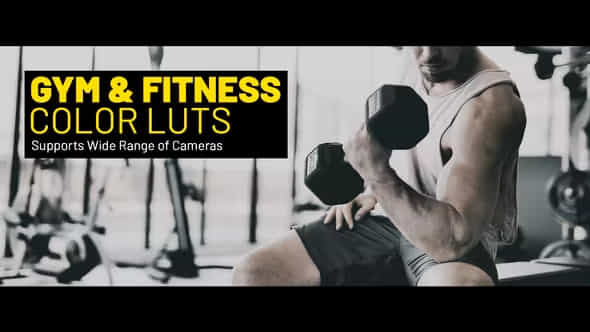 Gym and Fitness - VideoHive 39104243