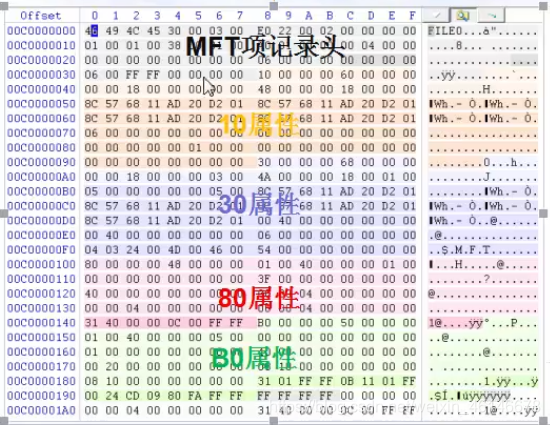 MFT属性类型图