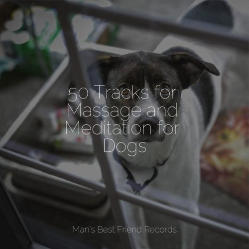 Sleep Music For Dogs - 50 Tracks for Massage and Meditation for Dogs - 2022