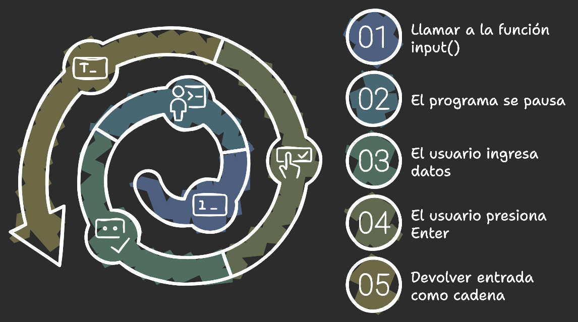 Función input() en Python