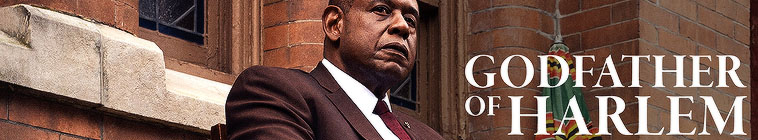 Godfather of Harlem S01E06 720p WEB H264-METCON