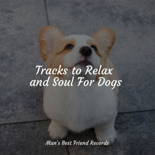 Music For Dogs Peace - Tracks to Relax and Soul For Dogs - 2022