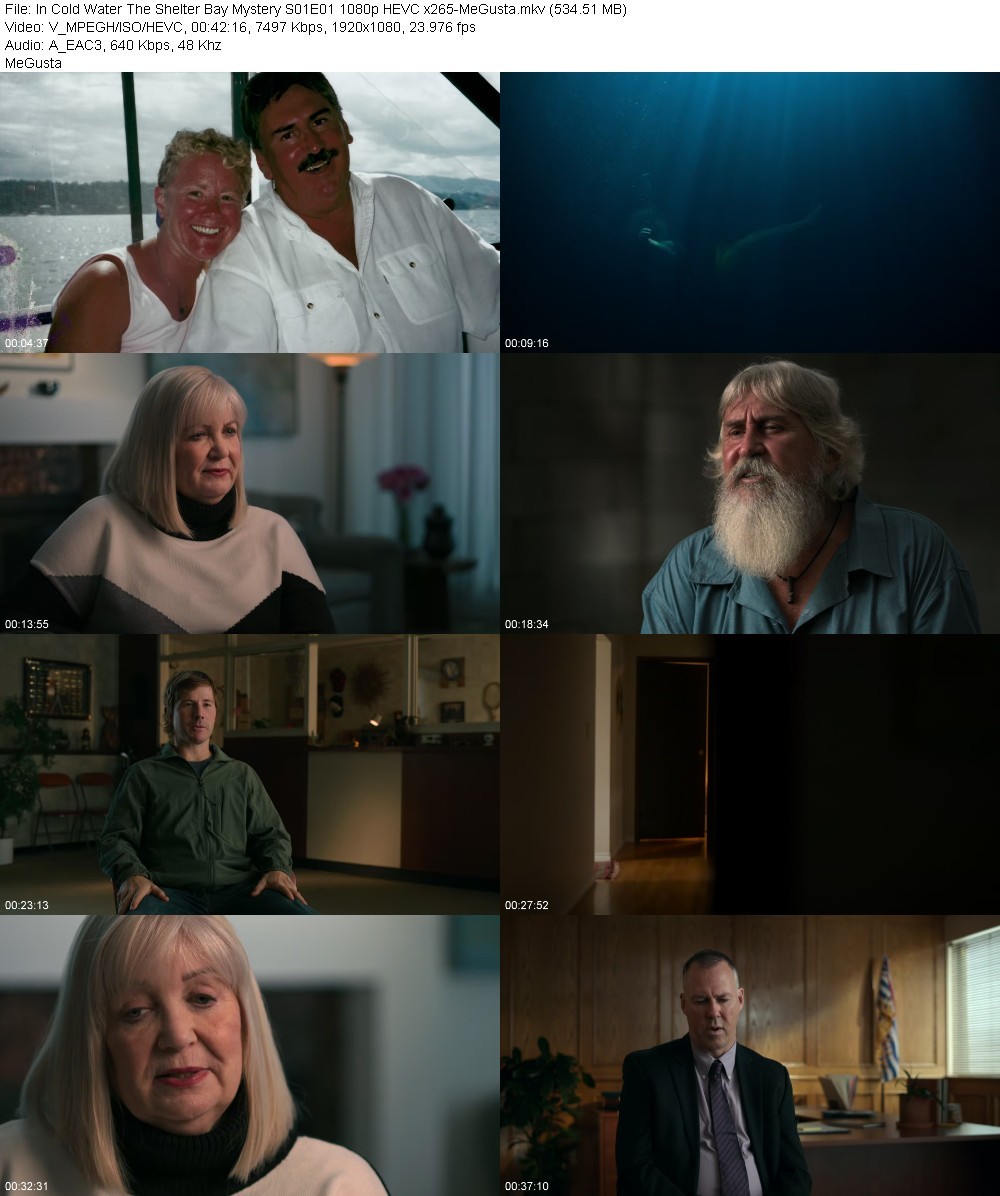 In Cold Water The Shelter Bay Mystery S01E01 1080p HEVC x265-MeGusta