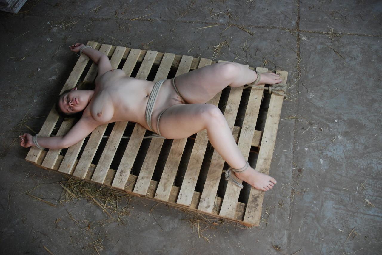 Busty female slave is affixed naked to tree in winter and pallet indoors(6)