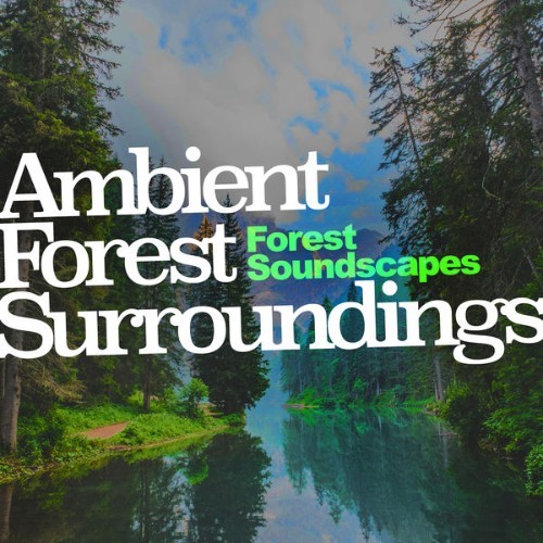 Forest Soundscapes - Ambient Forest Surroundings - 2019