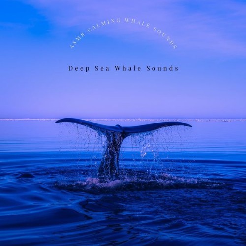 Deep Sea Whale Sounds - ASMR Calming Whale Sounds - 2022