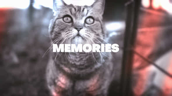 Memories Looks - VideoHive 47621079