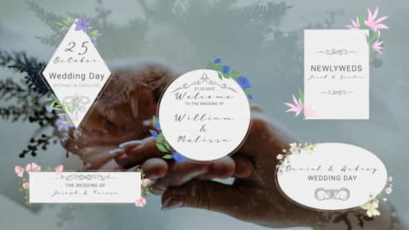New Wedding Titles - VideoHive 35608293