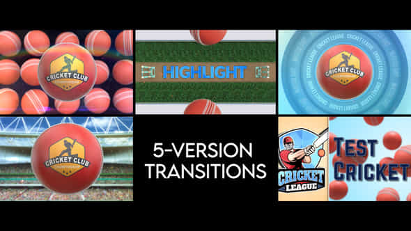 Cricket Transitions 5 Versions - VideoHive 56901999