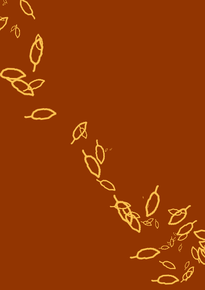 Inside front cover of Secondary Prophecies zine, showing a pattern of orange feathers on a brown background.