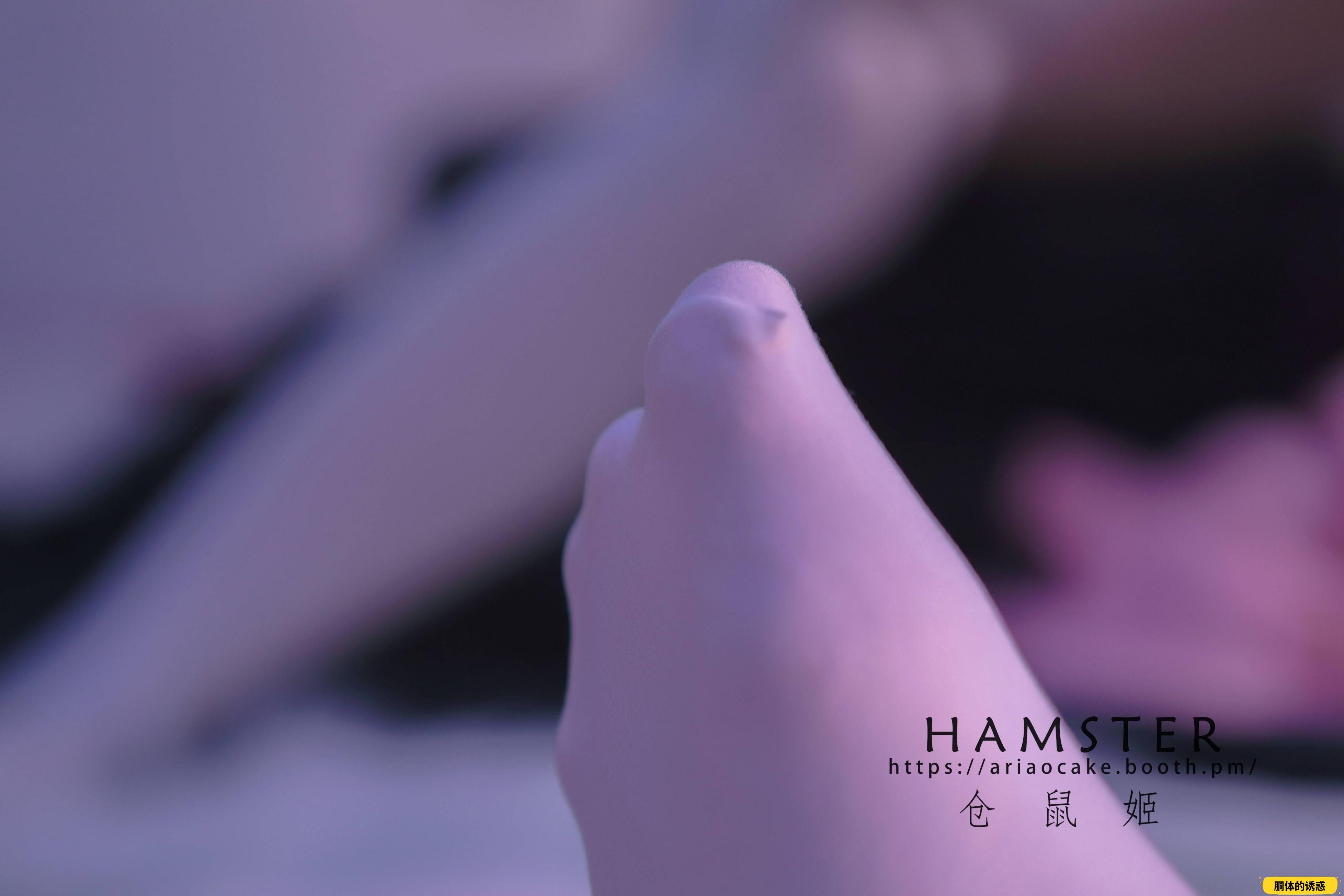 HAMSTERS 仓鼠姬 - NO.005 VOL.02 居家女友2 [34P-38MB]