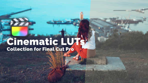 Cinematic Luts Collection - VideoHive 49998309