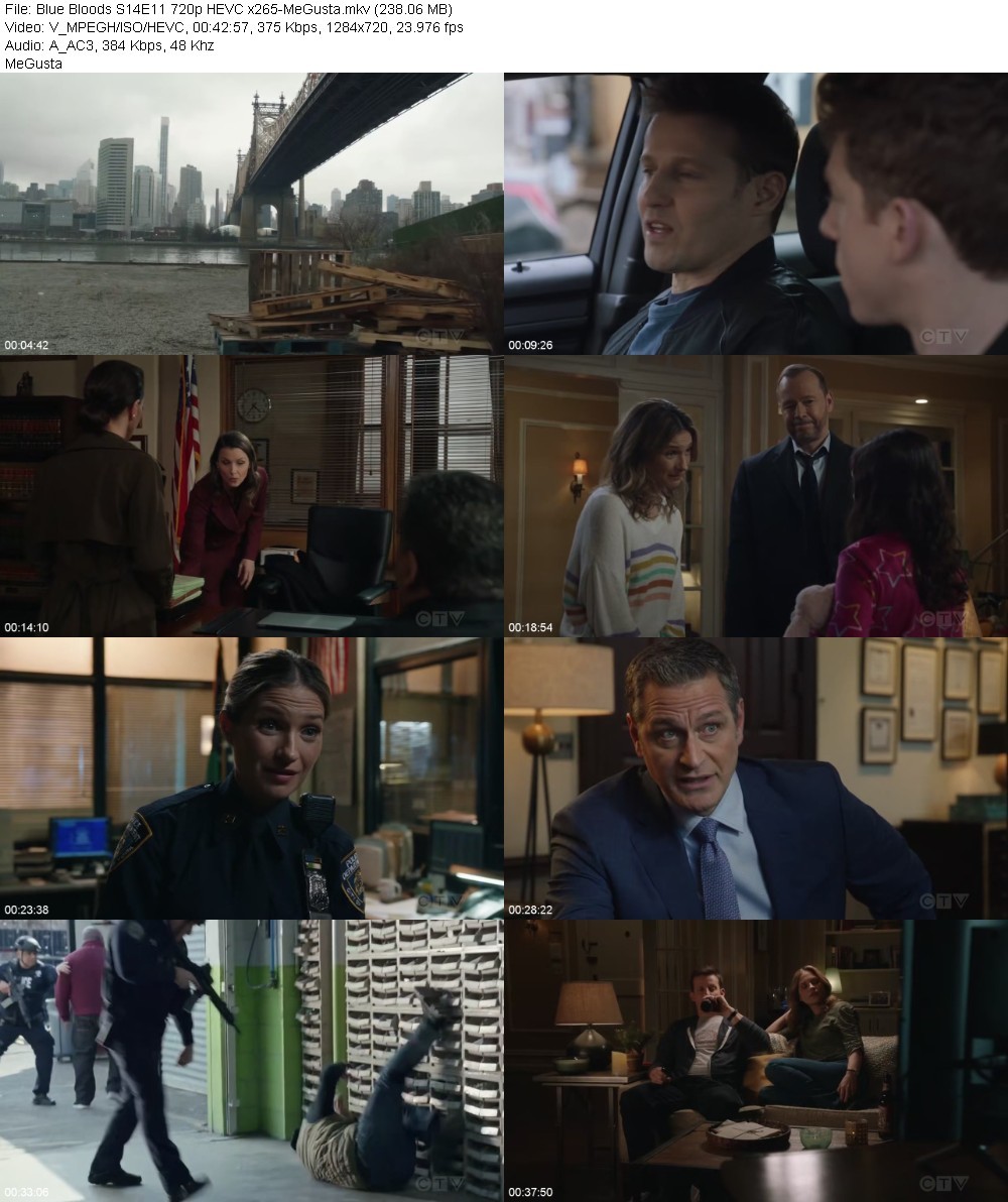 Blue Bloods S14E11 720p HEVC x265-MeGusta