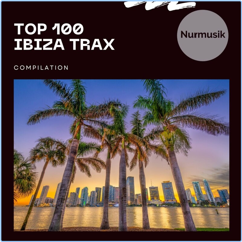 Various Artists - Top 100 Ibiza Trax (2024) [320 Kbps] V9chemso_o