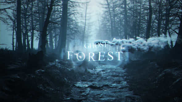 Ghost Forest Cinematic - VideoHive 42660390