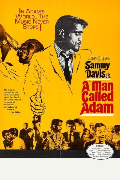 A Man Called Adam 1966 1080p BluRay x265-RARBG