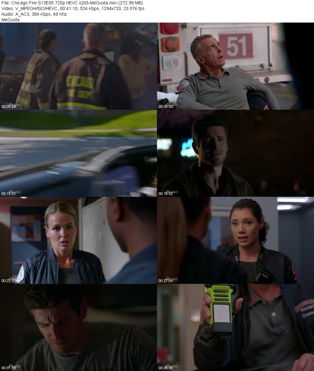 Chicago Fire S13E05 720p HEVC x265-MeGusta