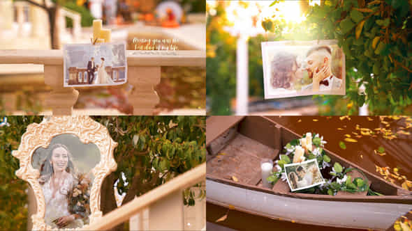 Wedding Photo Gallery Autumn Evening Garden - VideoHive 34881515