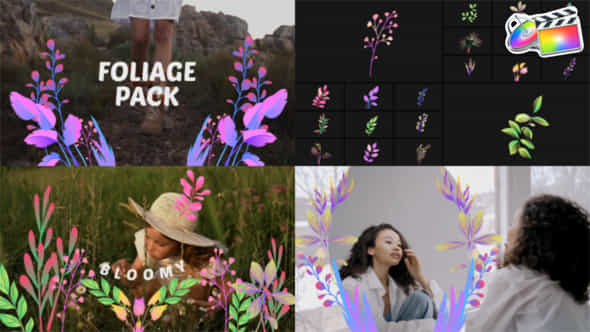 Foliage Pack For Fcpx - VideoHive 50854314