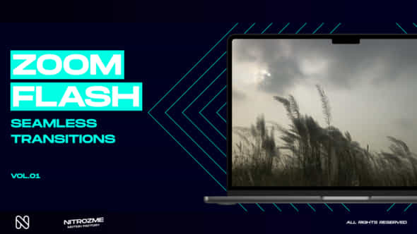 Zoom Flash Transitions Vol 01 - VideoHive 49305097