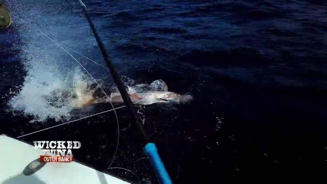 Wicked Tuna Outer Banks S07E09 Hard Times at Sea 720p WEB h264-CAFFEiNE 