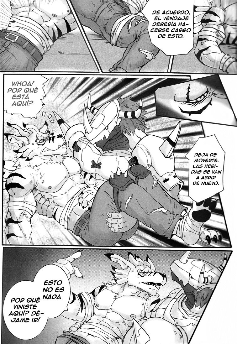 Los Secretos de la Digievolucion (Digimon) - 10