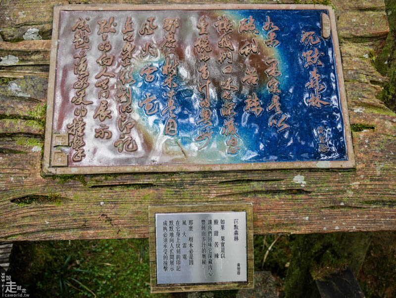 詩