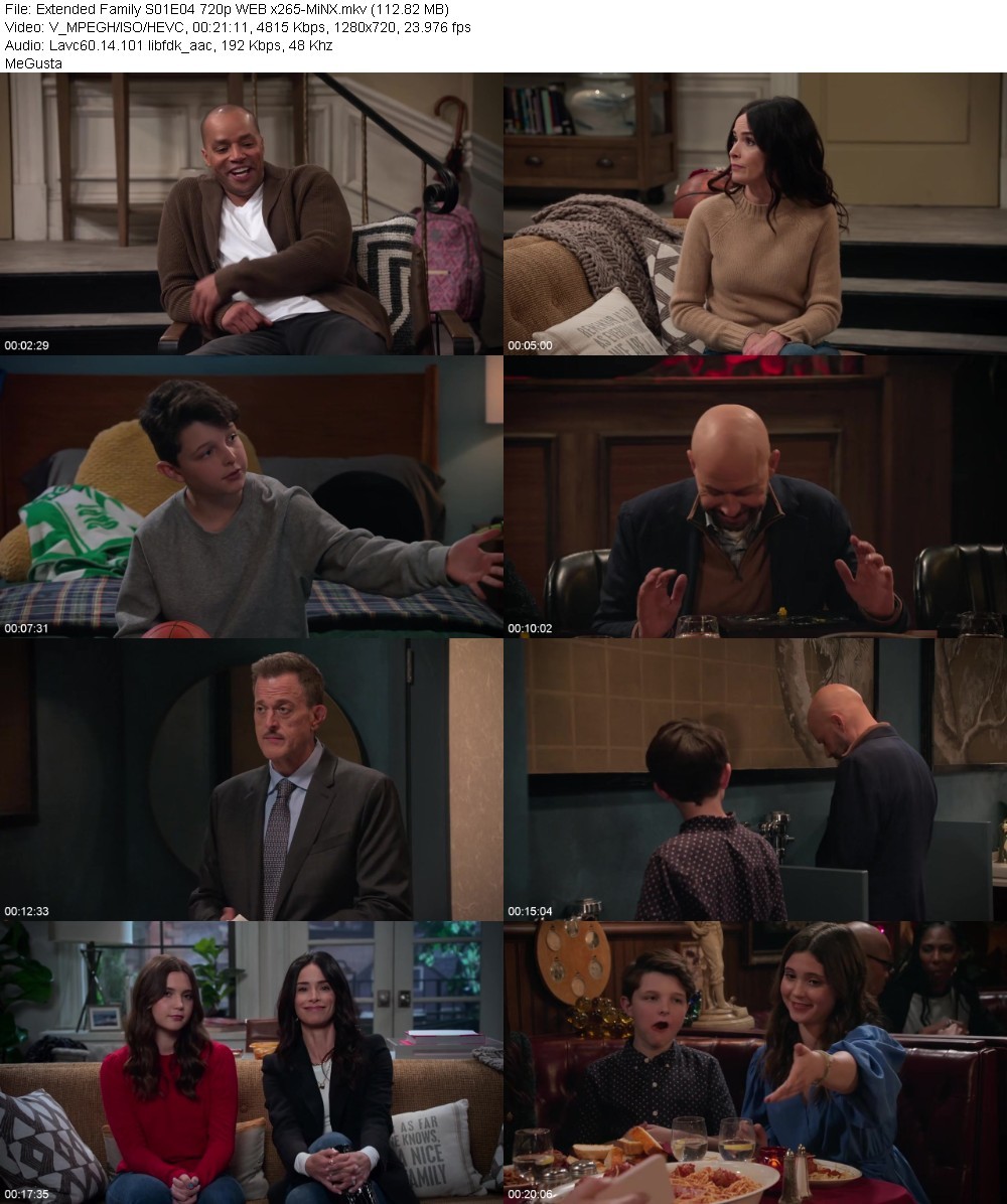 Extended Family S01E04 720p WEB x265-MiNX