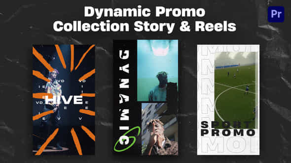 Dynamic Promo Collection Story Reels Premiere Pro - VideoHive 49155787