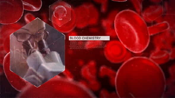 Blood - VideoHive 11659758
