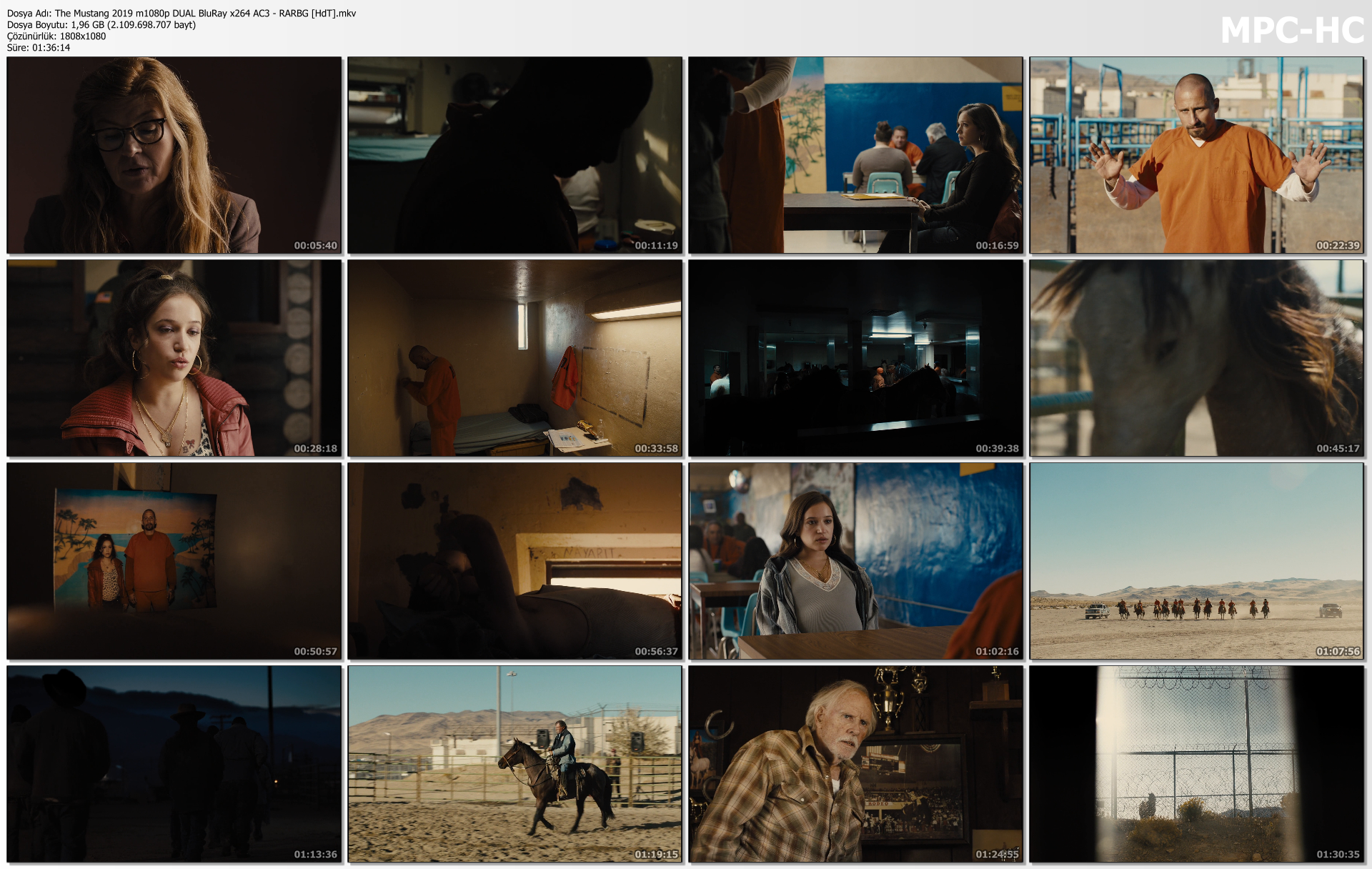 The Mustang 1080p Türkçe dublaj