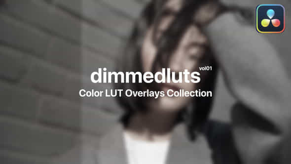 Dimmed Color Presets - VideoHive 47728680
