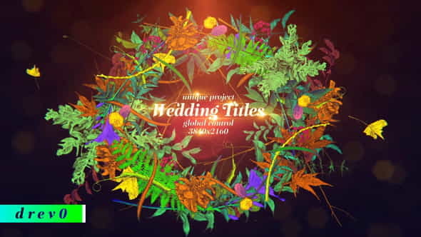 Wedding Titles Hand Draw Love - VideoHive 29432563