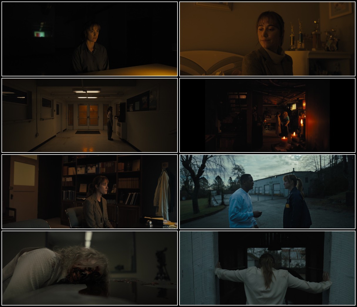 Longlegs (2024) 1080p WEBRip DS4K AV1 DDP 5 1-dAV1nci MmD8a1xv_o