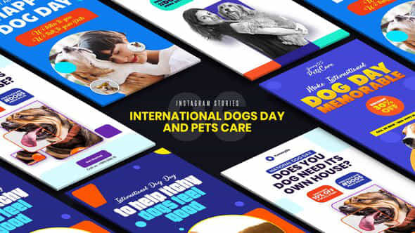 International Dogs Day And Pets Care Instagram Stories - VideoHive 33285007