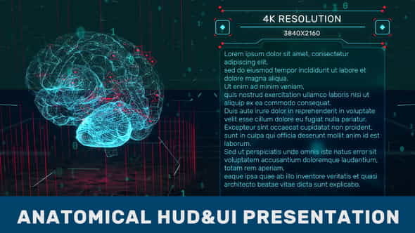 Anatomical HUD UI - VideoHive 38990188