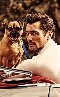 David Gandy 7ElTbFAn_o