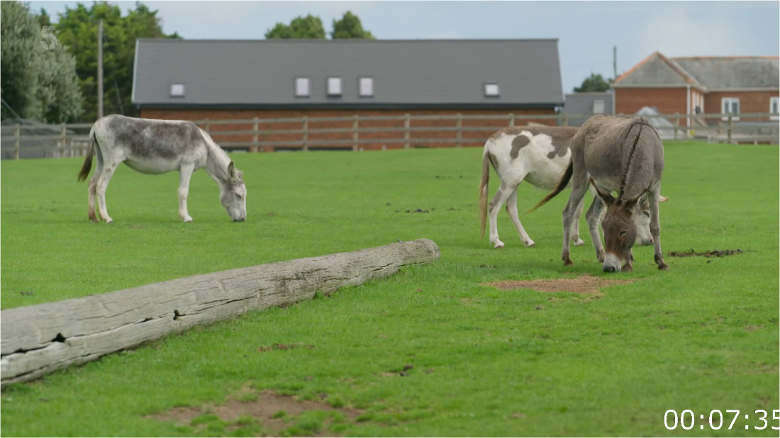 Isle Of Wight Jewel Of The South S02E03 [1080p] HDTV (H264) TynpcP6X_o