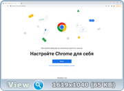 Google Chrome 101.0.4951.67 Stable + Enterprise (x86-x64) (2022) Multi/Rus