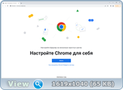 Google Chrome 101.0.4951.67 Stable + Enterprise (x86-x64) (2022) {Multi/Rus}