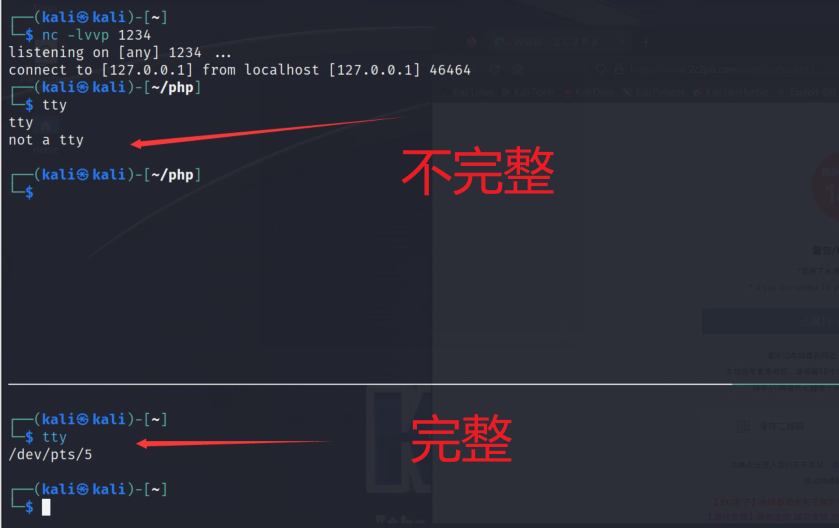 image-20231219233225703