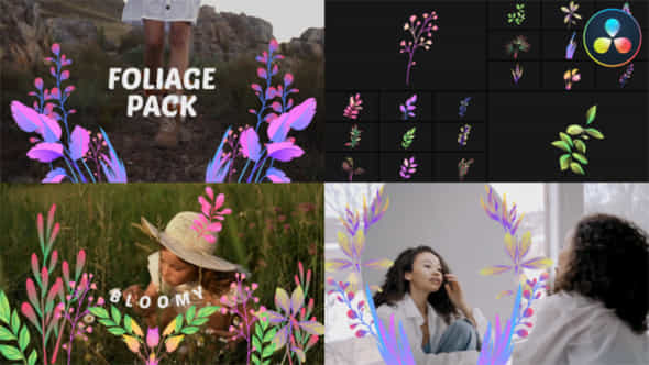 Foliage Pack For Davinci Resolve - VideoHive 50940723