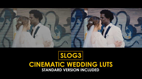 Slog3 Cinematic Wedding And Standard Color Luts - VideoHive 51047618