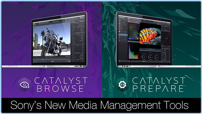 Sony Catalyst Browse - Prepare Suite 2024.1.1 YrqvBVTw_o