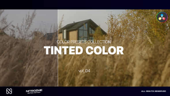 Tinted LUT Collection - VideoHive 46156189