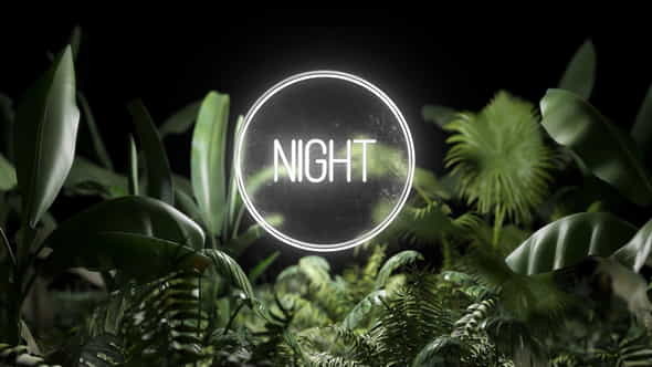 Neon Plants - VideoHive 23702759