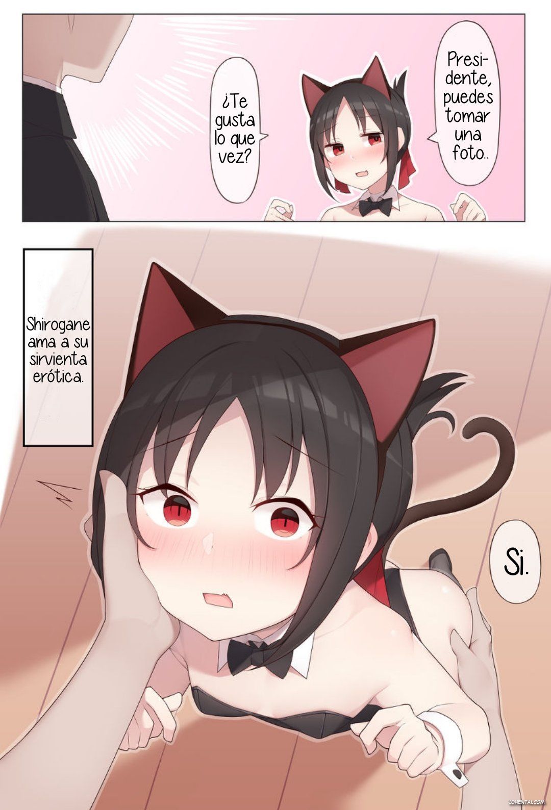 Nekomimi no Kaguya-sama (Kaguya-sama wa Kokurasetai) xxx comics manga porno doujin hentai español sexo 